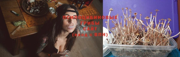 мяу мяу кристалл Гусиноозёрск