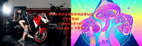 винт Гусев